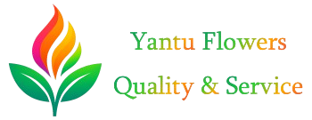 yantuflowers.com